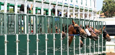 Grantham to face stewards over positive to arsenic